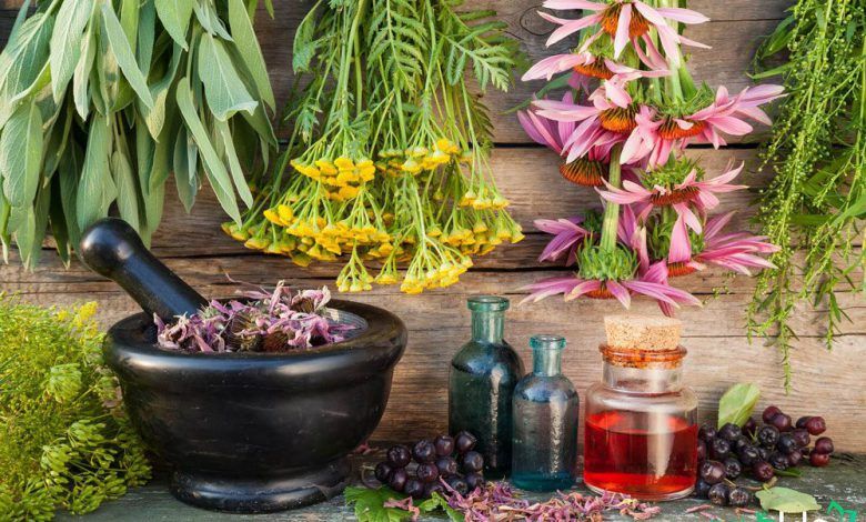 گیاهان-موثر-در-درمان-کرونا